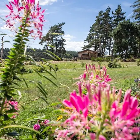 Chalet, Chrysalide, Ferme De Vovady Montregard