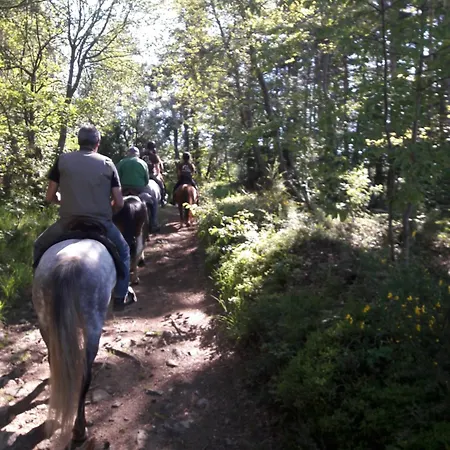Шале Chalet, Chrysalide, Ferme De Vovady *