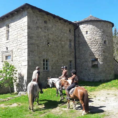 Chalet, Chrysalide, Ferme De Vovady Chalet Montregard